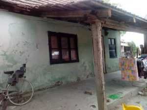 Porodica Sokola 5