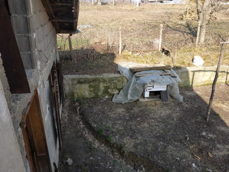 Porodica Nedeljković 6 Porodica Nedeljković 6