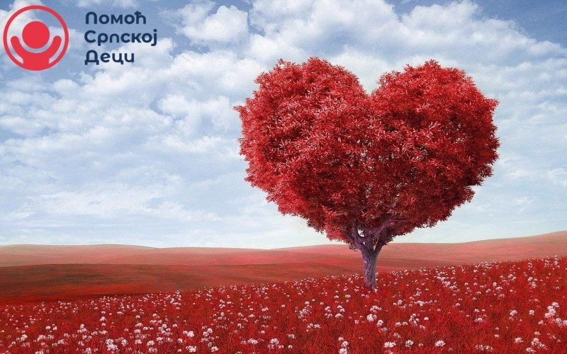 Solidarnost u doba korone: Šta možemo zaključiti? 1