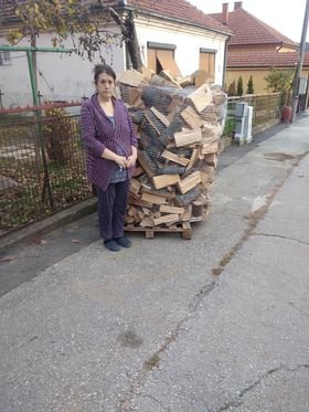 Kupovina ogreva za porodicu Biserčić 1 Kupovina ogreva za porodicu Biserčić 1