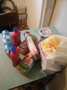 Kupovina namirnica za porodicu Biserčić 1